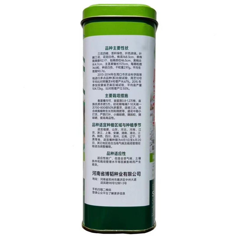 地天白芝麻种高产抗病抗倒伏白芝麻种籽大田基地用芝麻种