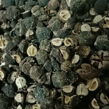 云南特产野生无硫烤干余甘子滇橄榄药食同源土特产农副产品