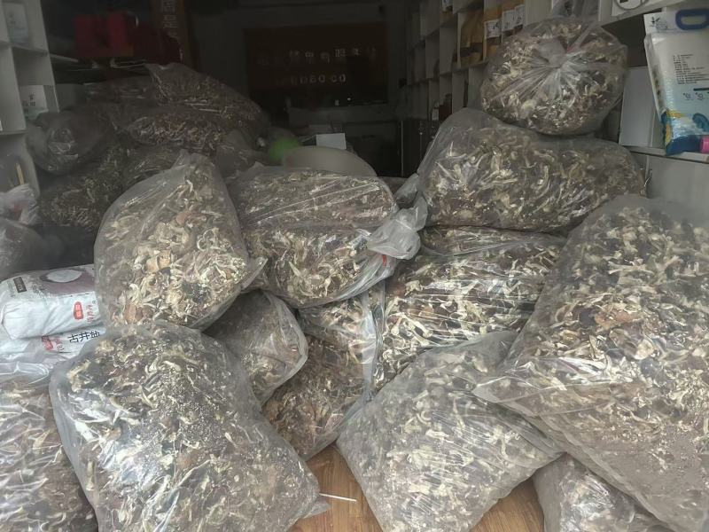 赤松茸球盖菇大量产新全国发货支持一件代发