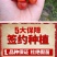 红妃樱桃苗正宗浙江南方樱桃树苗假一赔十对版包活