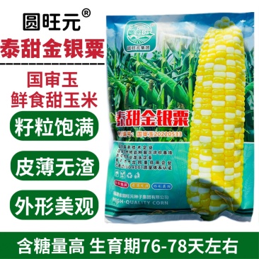 圆旺元泰甜金银粟双色甜玉米种子超甜水果玉米种子皮薄无渣