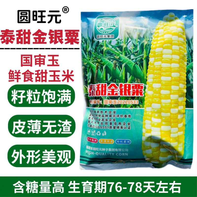 圆旺元泰甜金银粟双色甜玉米种子超甜水果玉米种子皮薄无渣