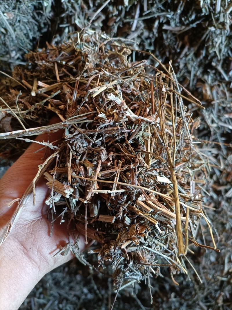 云南野生无硫切段过筛马鞭草马鞭梢初级农产品