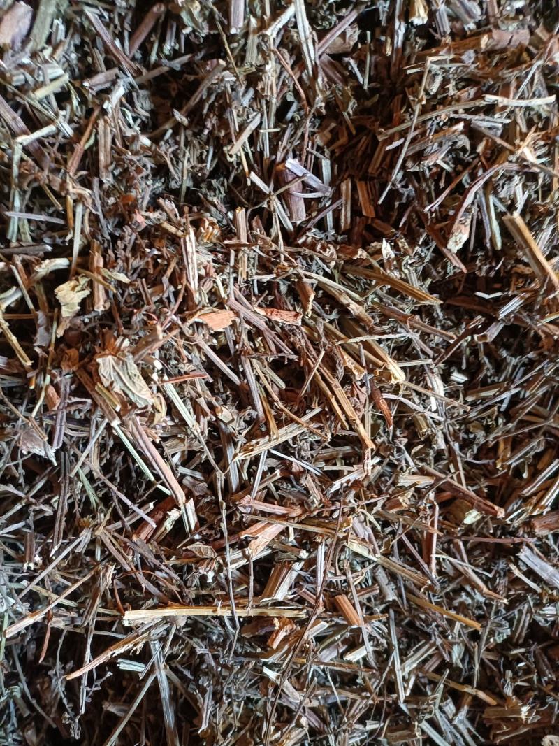 云南野生无硫切段过筛马鞭草马鞭梢初级农产品