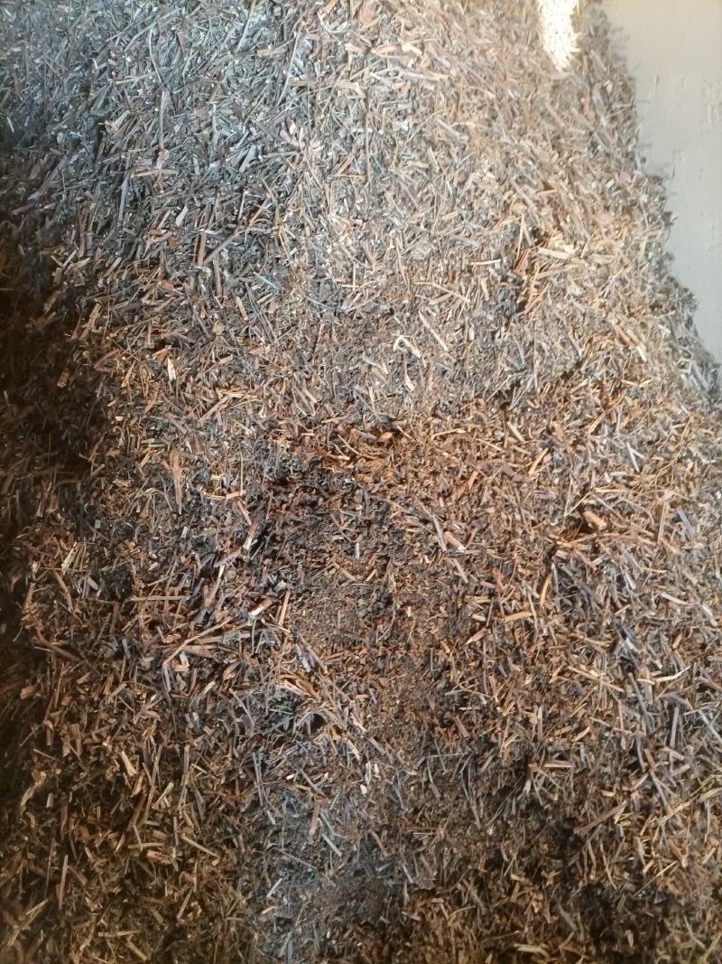 云南野生无硫切段过筛马鞭草马鞭梢初级农产品