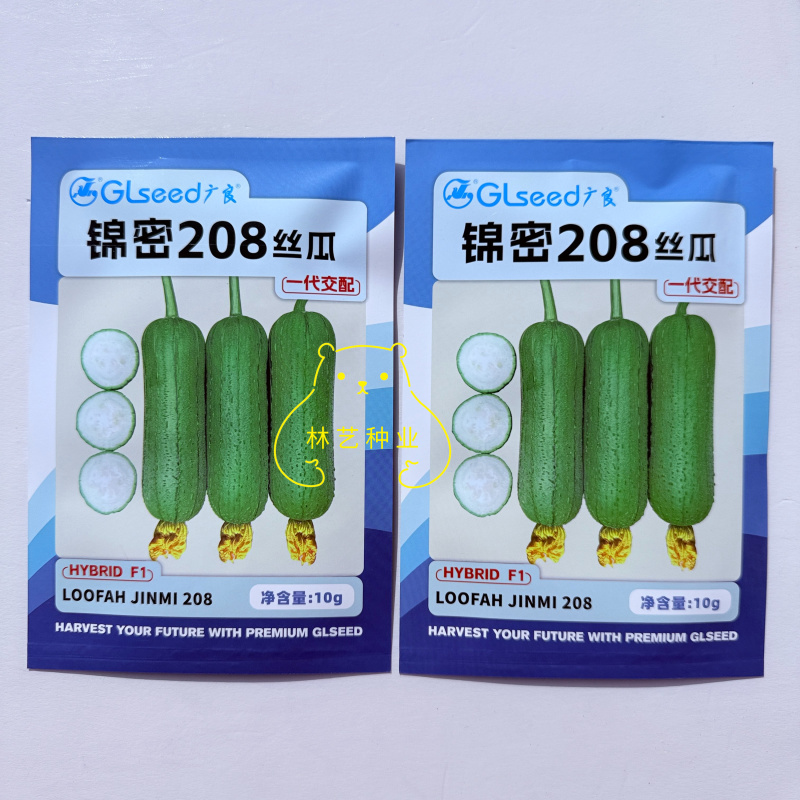 锦密208水果丝瓜种子杂交短棒型硬度好耐运输春秋肉丝瓜