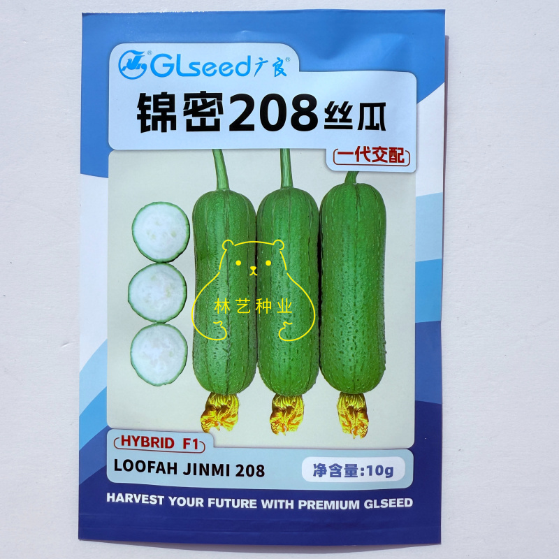 锦密208水果丝瓜种子杂交短棒型硬度好耐运输春秋肉丝瓜