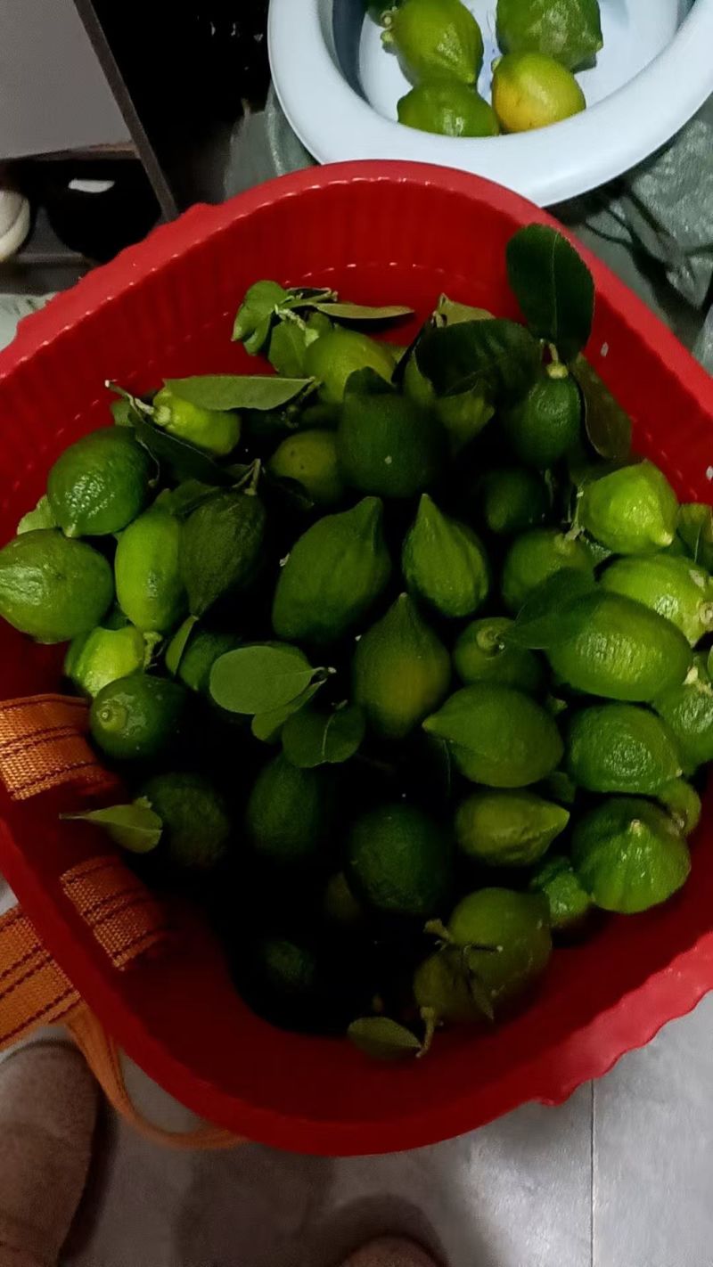 香水柠檬