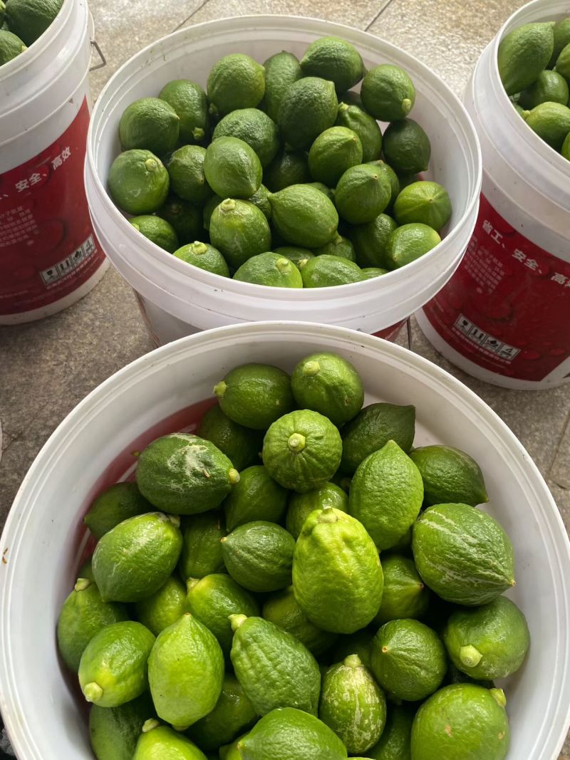 香水柠檬