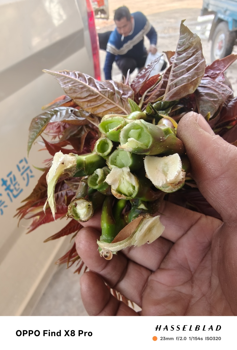 舌尖上的美食，唯有美食不可辜负