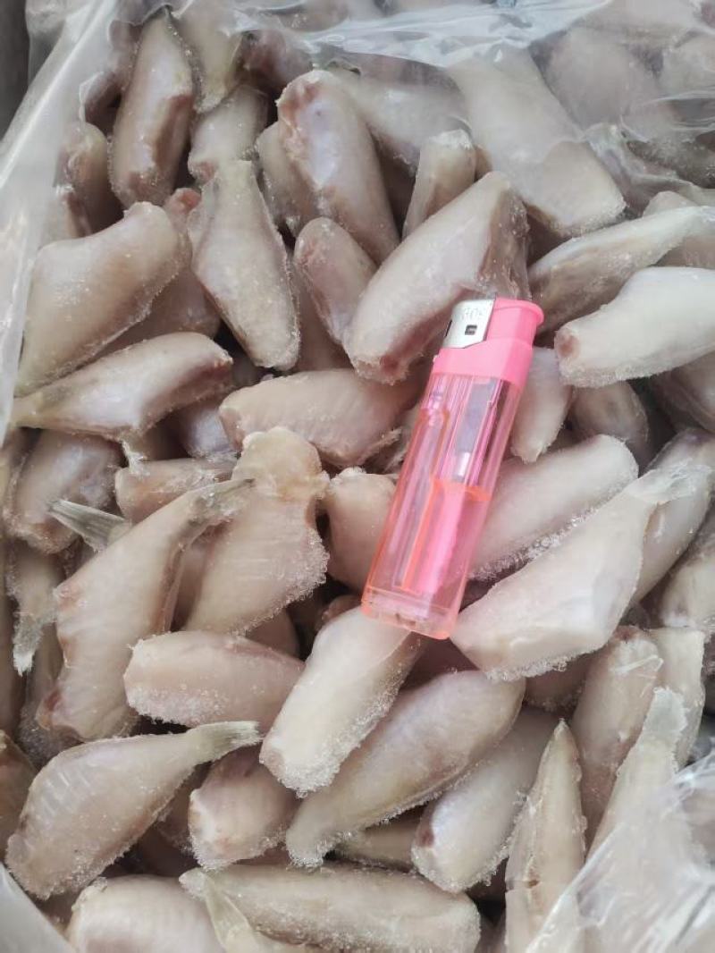 马面鱼