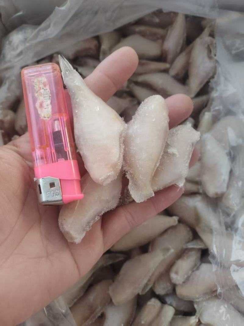 马面鱼
