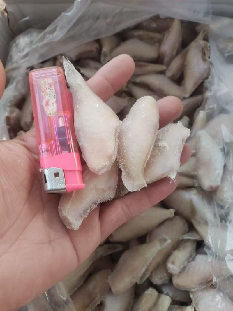 马面鱼