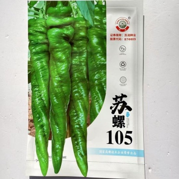 苏螺105早中熟杂交螺丝椒种子果皮绿色皮厚味香辣膨果快抗