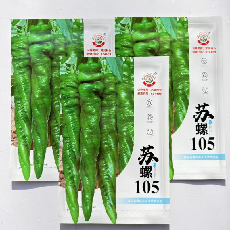 苏螺105早中熟杂交螺丝椒种子果皮绿色皮厚味香辣膨果快抗
