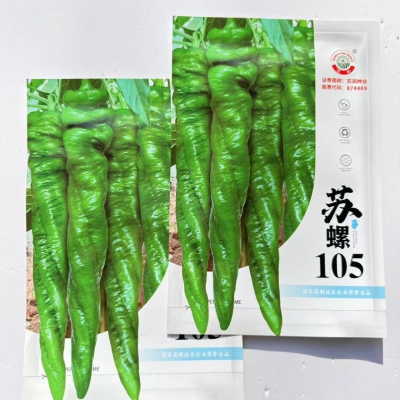 苏螺105早中熟杂交螺丝椒种子果皮绿色皮厚味香辣膨果快抗