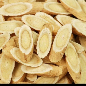 【热卖】黄芪斜片生黄芪量大质优价格优惠欢迎采购