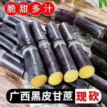 正宗广西黑皮甘蔗新鲜孕妇中段批发脆甜水果当季甜杆整箱青皮