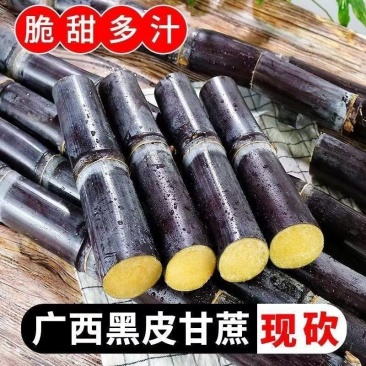 正宗广西黑皮甘蔗新鲜孕妇中段批发脆甜水果当季甜杆整箱青皮