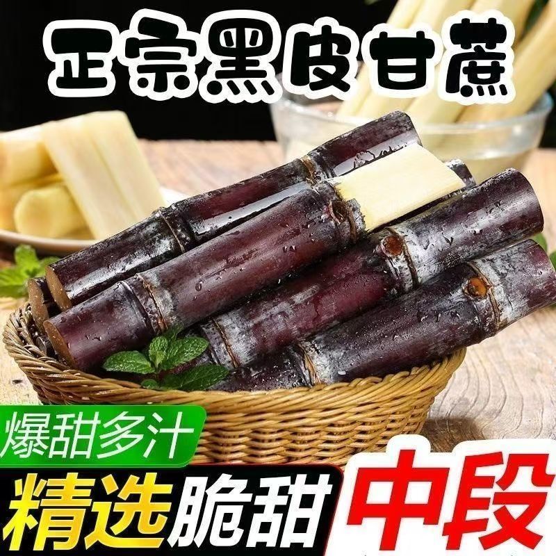 正宗广西黑皮甘蔗新鲜孕妇中段批发脆甜水果当季甜杆整箱青皮