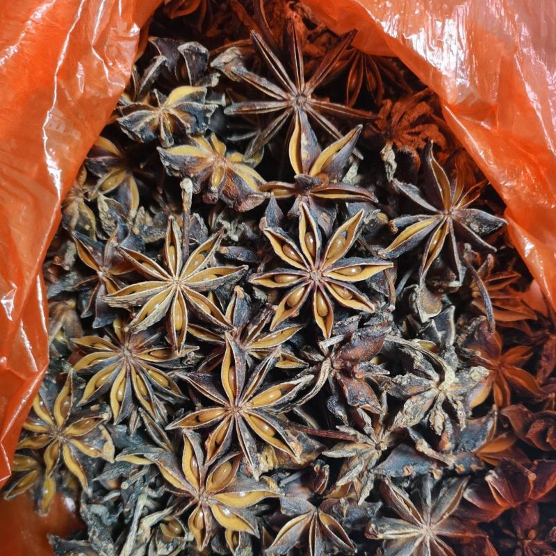 高端市场烫水无硫广西古龙大红八角大个头饱满开口好