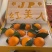 红美人柑橘大量供应，全国发货，诚信经营，可视频看货