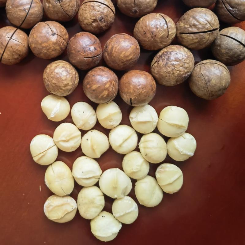 奶香味夏威夷果22-25大果现货