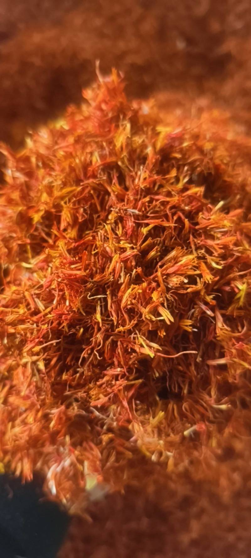 红花红花新疆红花统货产地直供