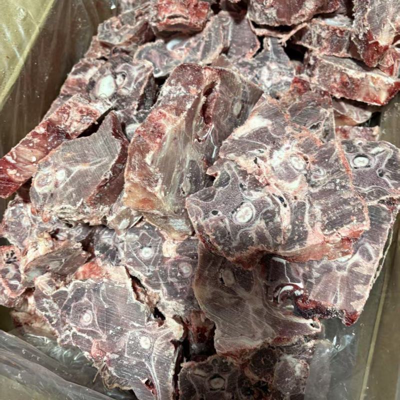 新到北牧塞满肉羊蝎子条