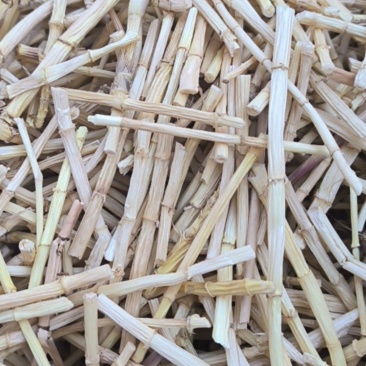 白茅根毛根批发各种规格中药材质量保证量大从优