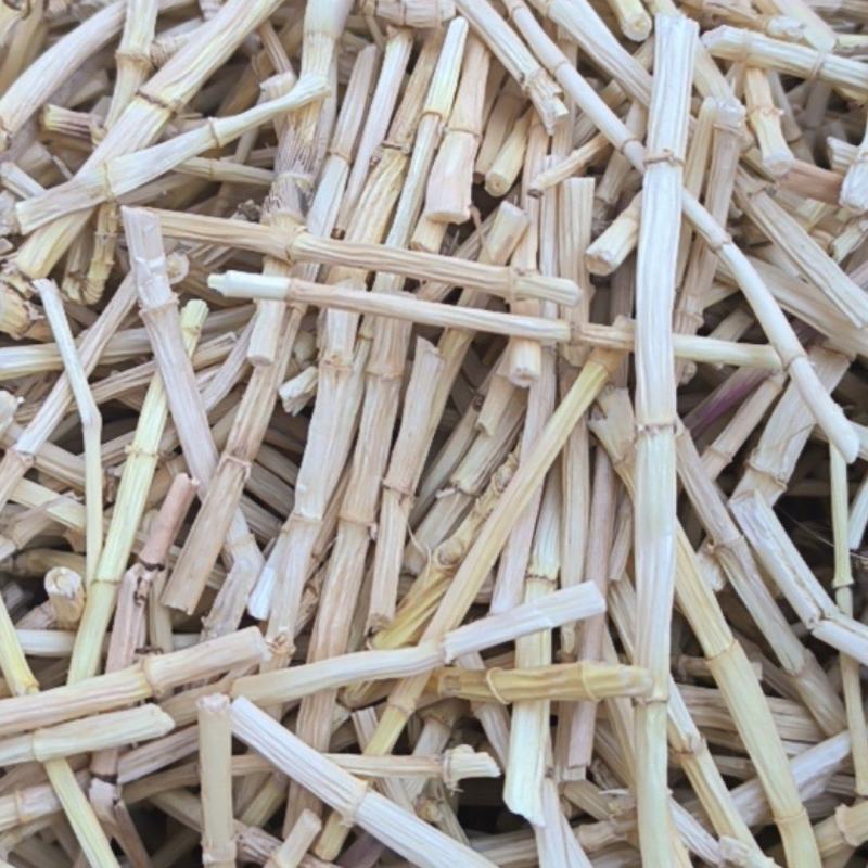 白茅根毛根批发各种规格中药材质量保证量大从优