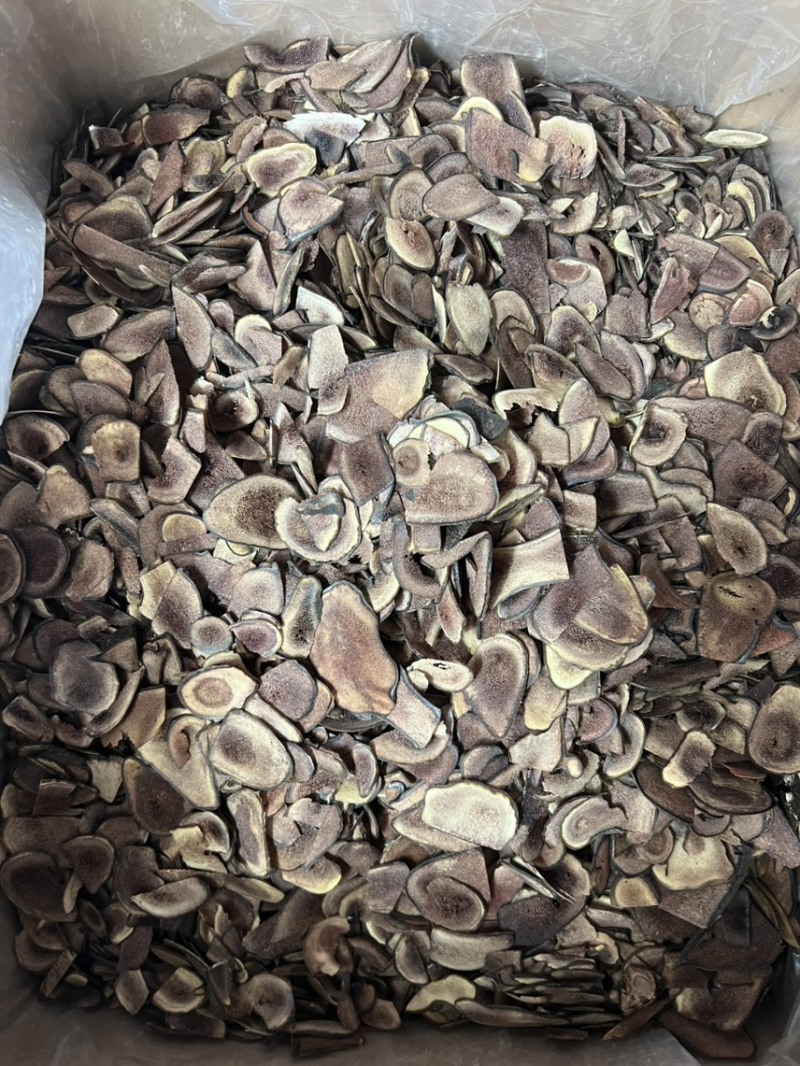 鹿茸片碎片，经济实惠款，打粉，煲汤，泡茶