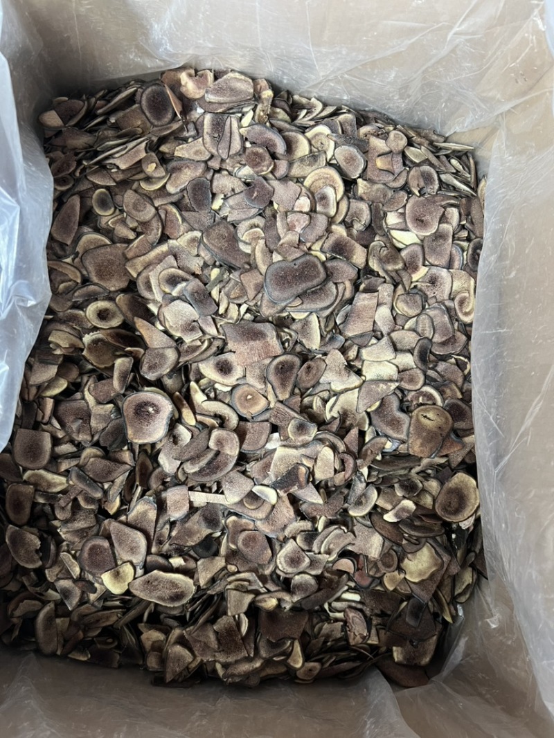 鹿茸片碎片，经济实惠款，打粉，煲汤，泡茶