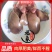 包邮）5斤生鲜冷冻鹅肝鹅心肝冷冻鹅肝法式鹅肝新鲜鹅肝鹅心
