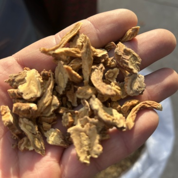秦艽秦艽片中药材批发零售各种中药材大量到货