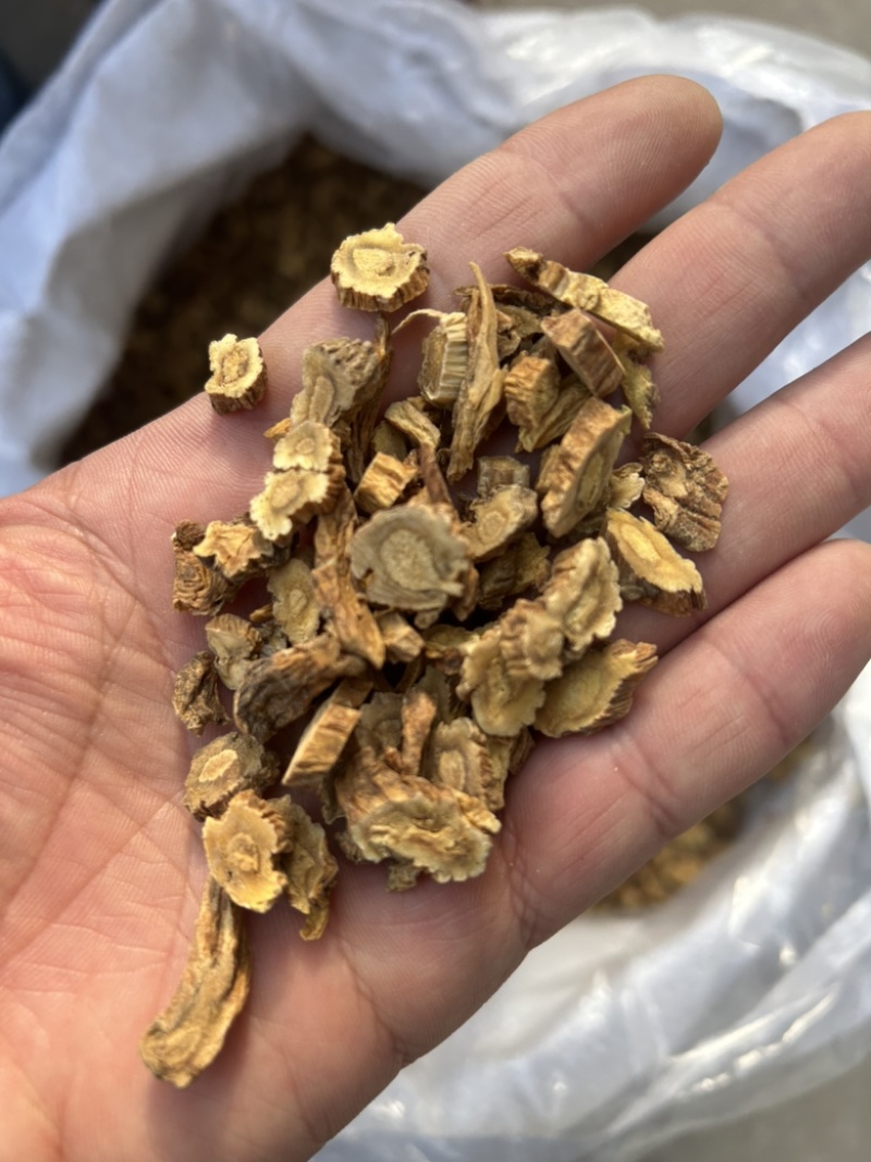 秦艽秦艽片中药材批发零售各种中药材大量到货