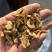 秦艽秦艽片中药材批发零售各种中药材大量到货