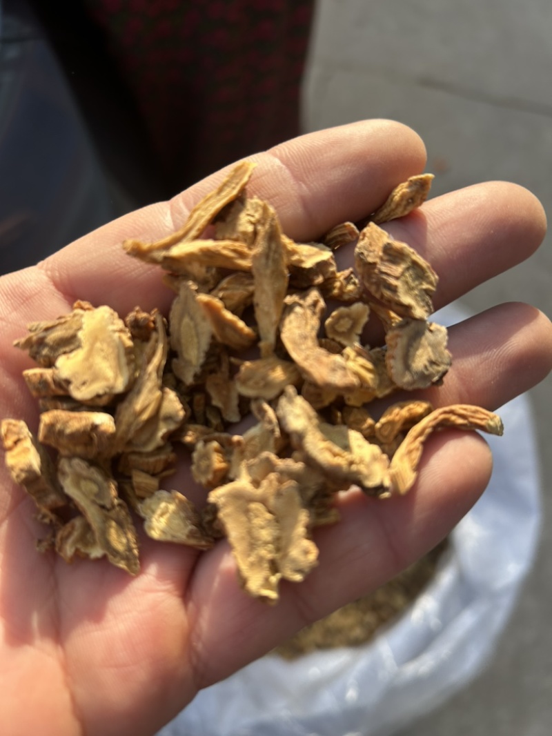 秦艽秦艽片中药材批发零售各种中药材大量到货