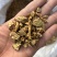 秦艽秦艽片中药材批发零售各种中药材大量到货