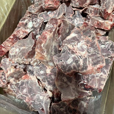 新到北牧塞满肉羊蝎子
