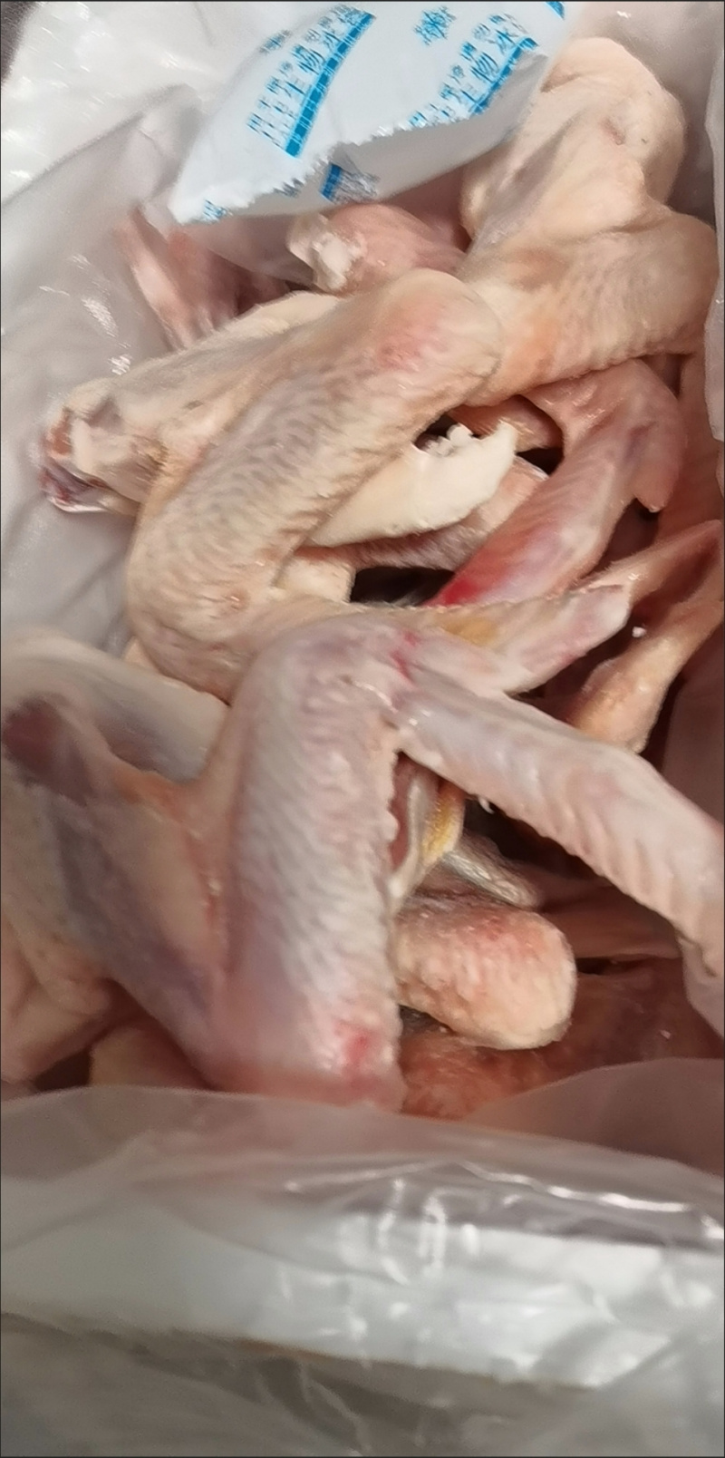 包邮）新鲜鹅翅膀卤鹅翅生鲜冷冻批发现杀鹅肉大鹅翅全翅