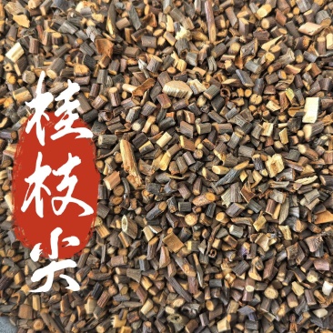 桂枝尖中药材桂枝尖小尖桂枝新货东弘药业中药材批发现货供应