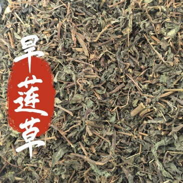 旱莲草中药材墨旱莲新货东弘药业中药材批发现货供应
