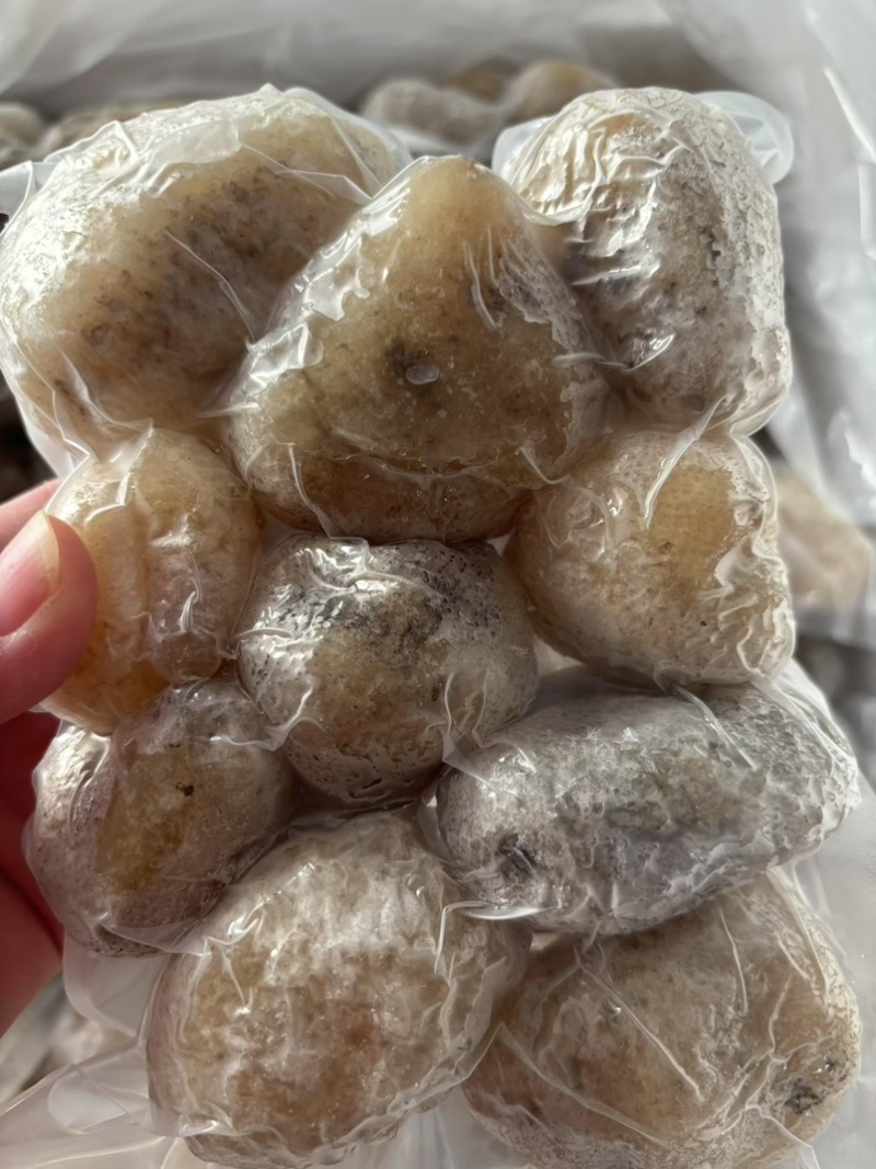 高质量珍珠球参规格齐全厂家直销