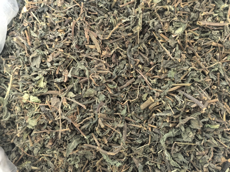 旱莲草中药材墨旱莲新货东弘药业中药材批发现货供应