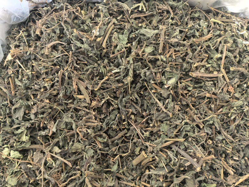 旱莲草中药材墨旱莲新货东弘药业中药材批发现货供应