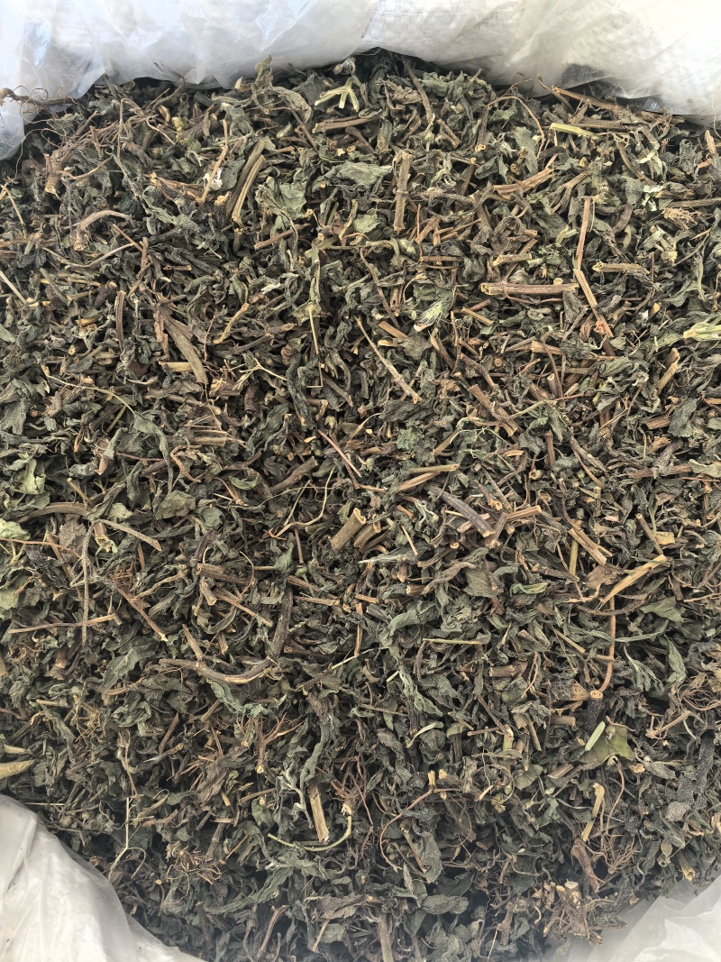 旱莲草中药材墨旱莲新货东弘药业中药材批发现货供应