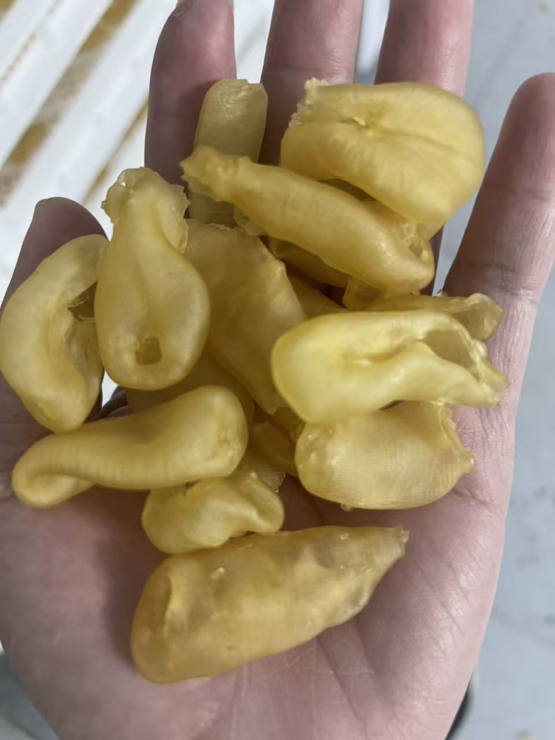 缅甸珍珠胶规格可定做