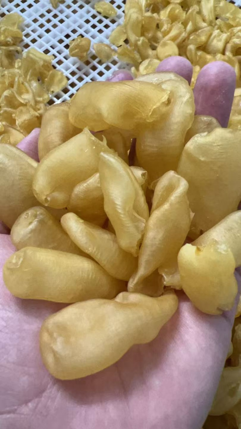 缅甸珍珠胶规格可定做