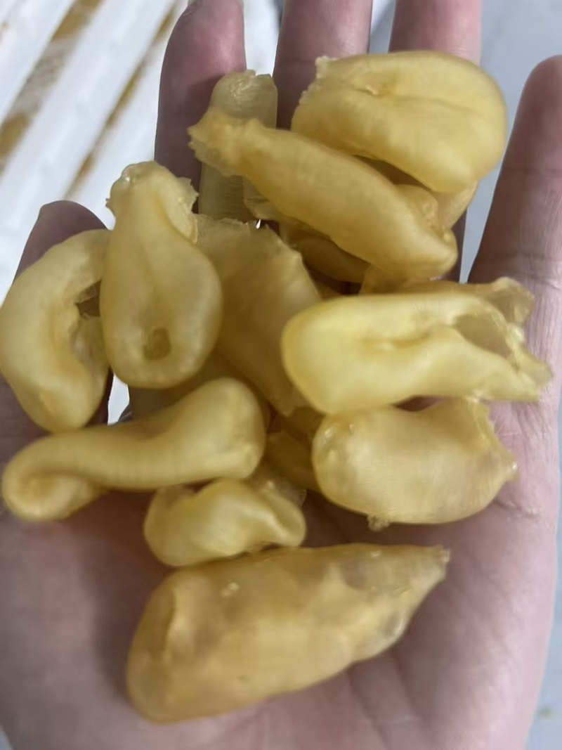 缅甸珍珠胶规格可定做